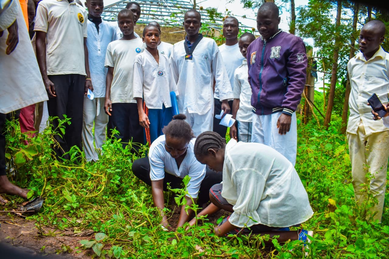 Busia Tree Planting Initiative
